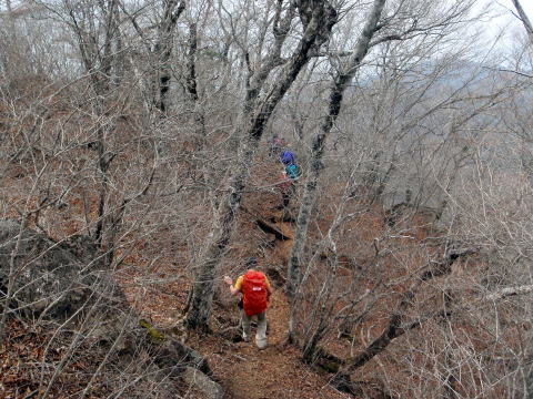 2015.4.19　本社ヶ丸（尾根歩き）