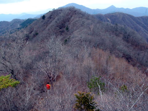 2015.4.19　本社ヶ丸（尾根歩き）