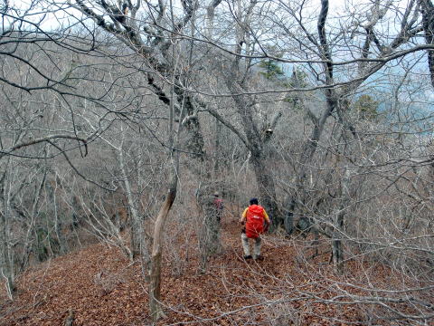 2015.4.19　本社ヶ丸（尾根歩き）