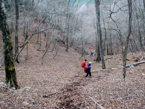 2015.4.19　本社ヶ丸（尾根歩き）