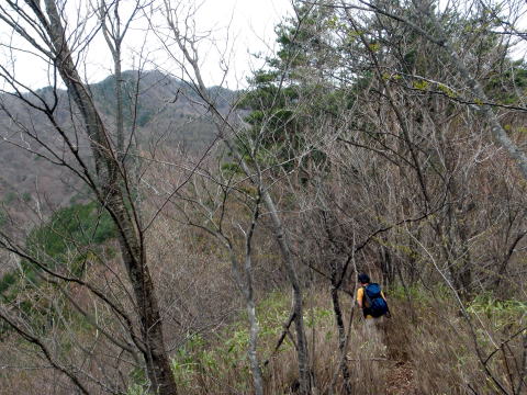 2015.4.19　本社ヶ丸（尾根歩き）