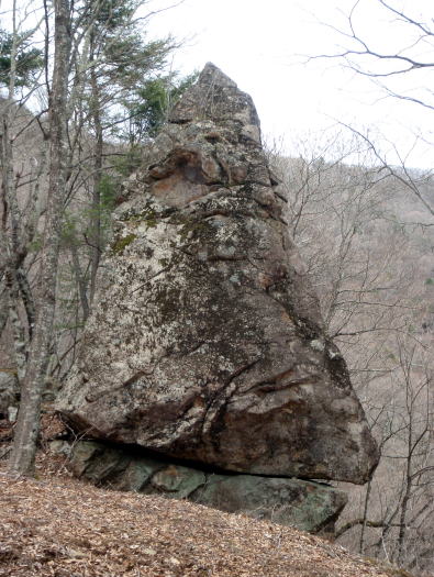 2015.4.19　本社ヶ丸（尾根歩き）