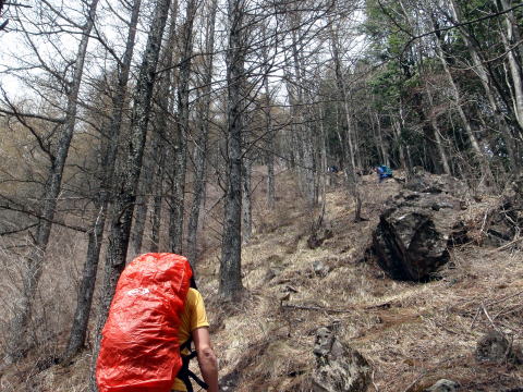 2015.4.19　本社ヶ丸（尾根歩き）