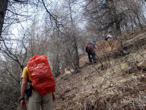 2015.4.19　本社ヶ丸（尾根歩き）