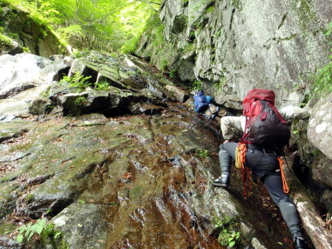2015.6.14　鶏冠谷左俣（沢登り）