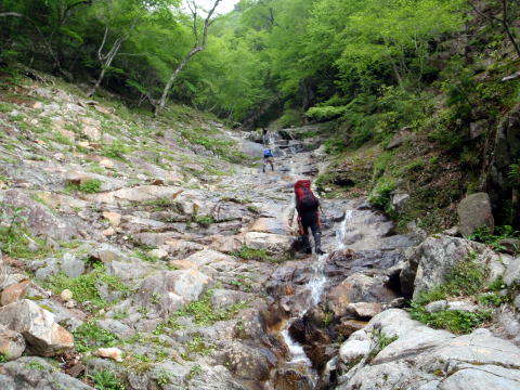 2015.6.14　鶏冠谷左俣（沢登り）