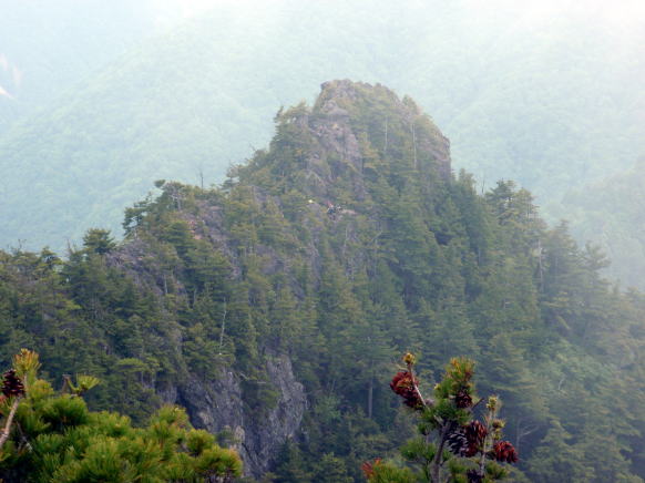 2015.6.14　鶏冠谷左俣（沢登り）