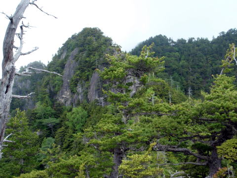 2015.6.14　鶏冠谷左俣（沢登り）