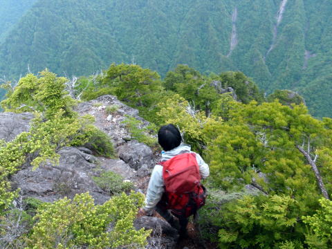 2015.6.14　鶏冠谷左俣（沢登り）