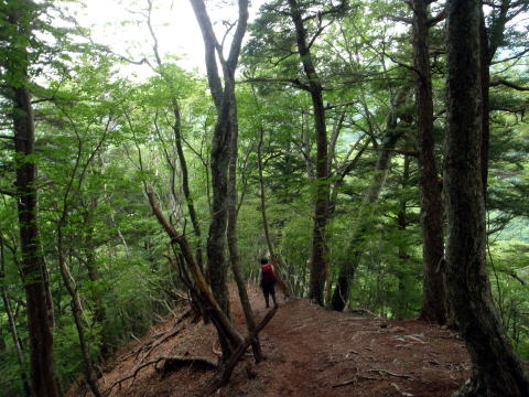 2015.6.14　鶏冠谷左俣（沢登り）