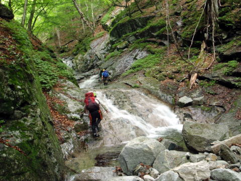 2015.6.14　鶏冠谷左俣（沢登り）