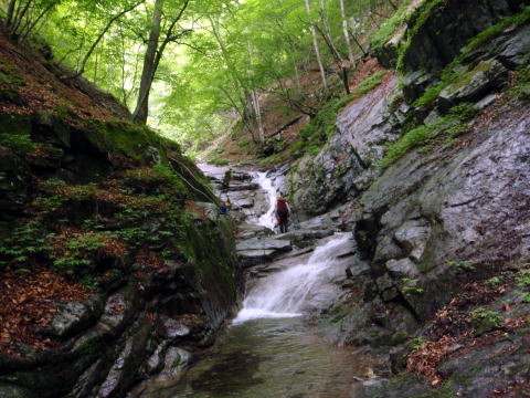 2015.6.14　鶏冠谷左俣（沢登り）