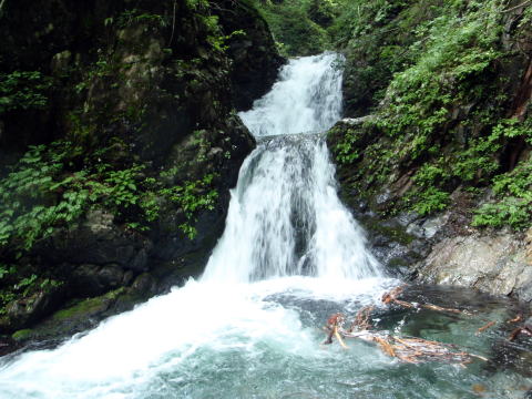 2015.7.19　豆焼沢（沢登り）