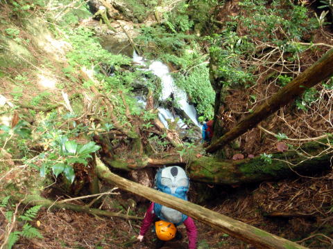 2015.7.19　豆焼沢（沢登り）