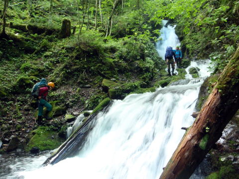 2015.7.19　豆焼沢（沢登り）