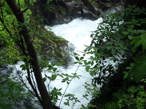 2015.7.19　豆焼沢（沢登り）