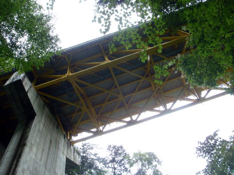 2015.7.19　豆焼沢（沢登り）