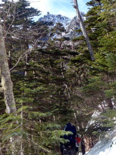 2014.1.12-13　鳳凰山（地蔵岳）　（雪山）