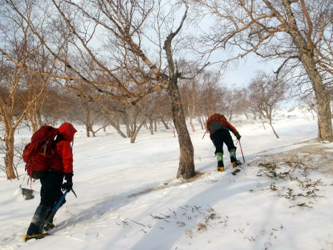 2014.1.12-13　鳳凰山（地蔵岳）　（雪山）
