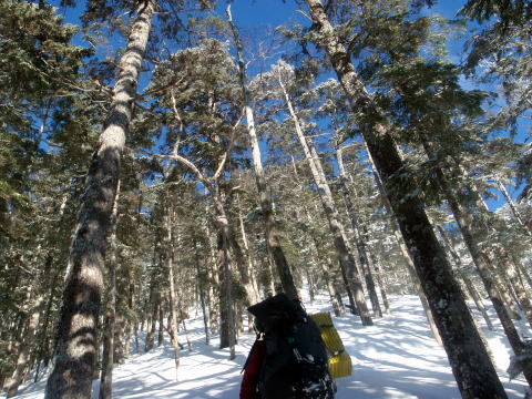 2014.3.22-23　越百山（雪山）