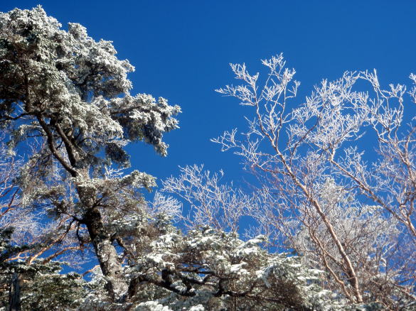 2014.3.22-23　越百山（雪山）
