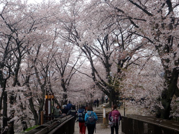 2014.4.13　ナットウ箱山（尾根歩き・イベント）