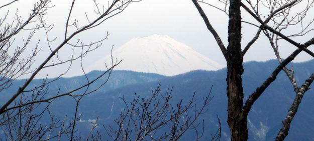 2014.4.13　ナットウ箱山（尾根歩き・イベント）
