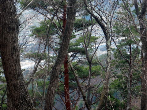 2014.4.13　ナットウ箱山（尾根歩き・イベント）