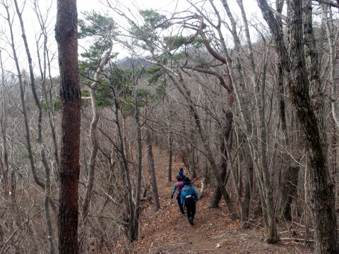 2014.4.13　ナットウ箱山（尾根歩き・イベント）