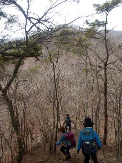 2014.4.13　ナットウ箱山（尾根歩き・イベント）