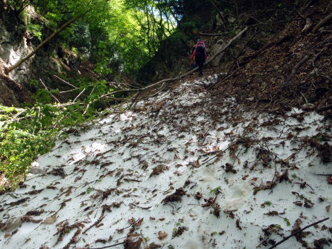 2014.5.17　軍刀利沢（沢登り）