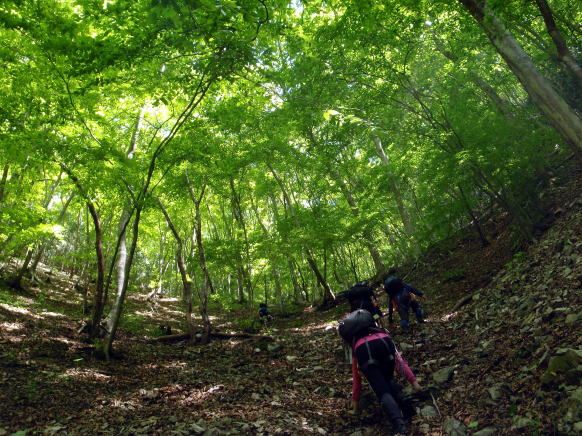 2014.5.17　軍刀利沢（沢登り）