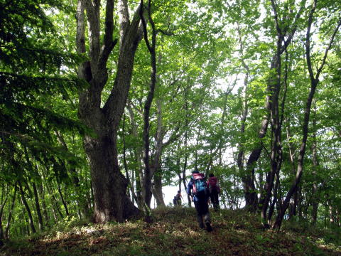 2014.5.17　軍刀利沢（沢登り）