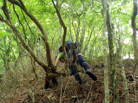 2014.6.21　モロクボ沢（沢登り）