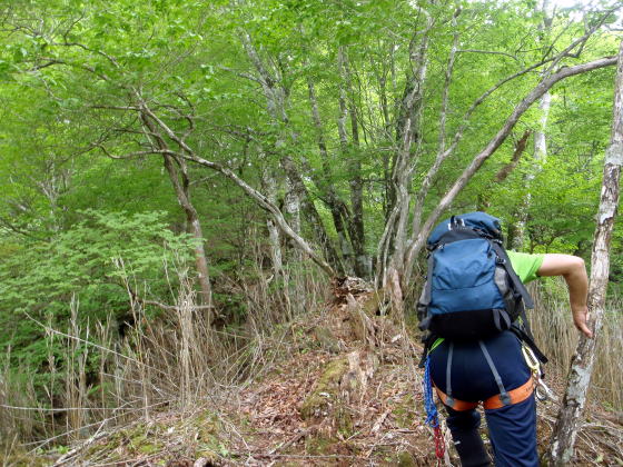 2014.6.21　モロクボ沢（沢登り）
