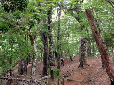 2014.6.21　モロクボ沢（沢登り）