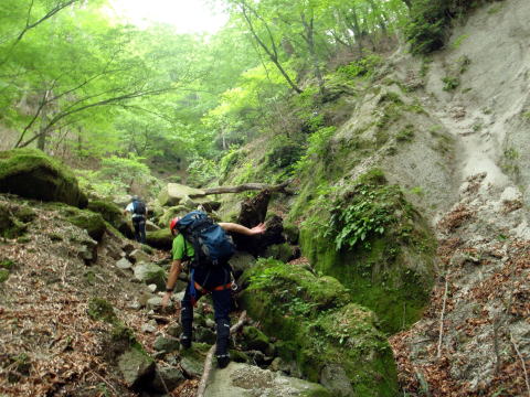 2014.6.21　モロクボ沢（沢登り）