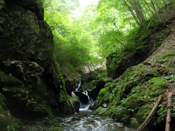 2014.7.12　逆川（沢登り）