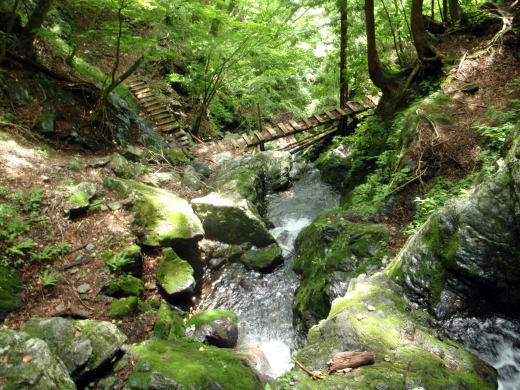 2014.7.12　逆川（沢登り）