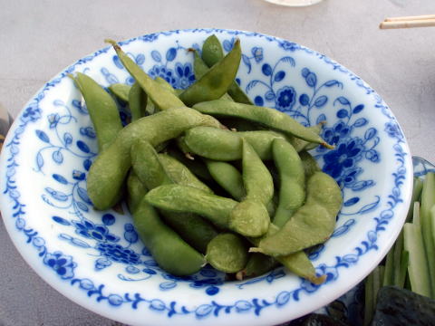 2014.7.12　逆川（沢登り）