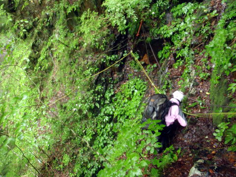 2014.7.20-21　大常木谷（沢登り）