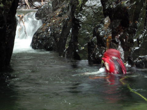 2014.7.20-21　大常木谷（沢登り）