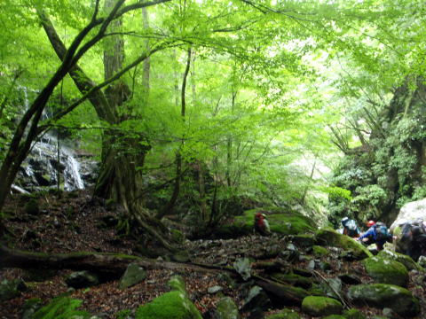 2014.7.20-21　大常木谷（沢登り）