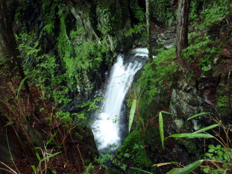 2014.7.20-21　大常木谷（沢登り）