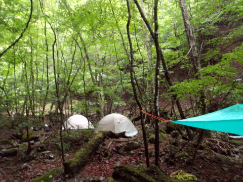 2014.7.20-21　大常木谷（沢登り）