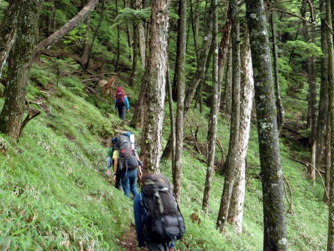 2014.7.20-21　大常木谷（沢登り）