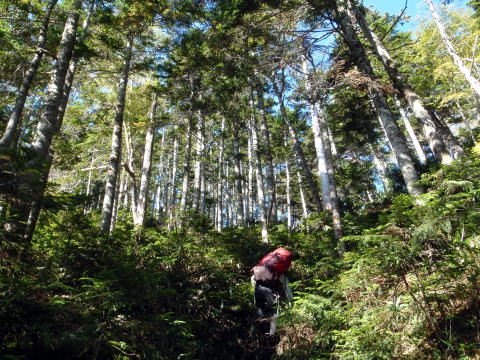 2014.9.20-21　柳沢川右俣（沢登り）