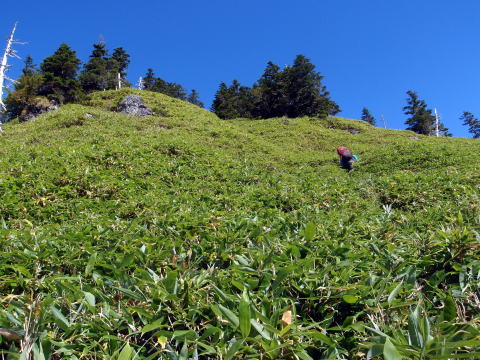 2014.9.20-21　柳沢川右俣（沢登り）