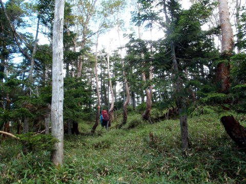 2014.9.20-21　柳沢川右俣（沢登り）