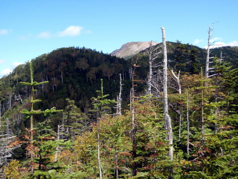 2014.9.20-21　柳沢川右俣（沢登り）